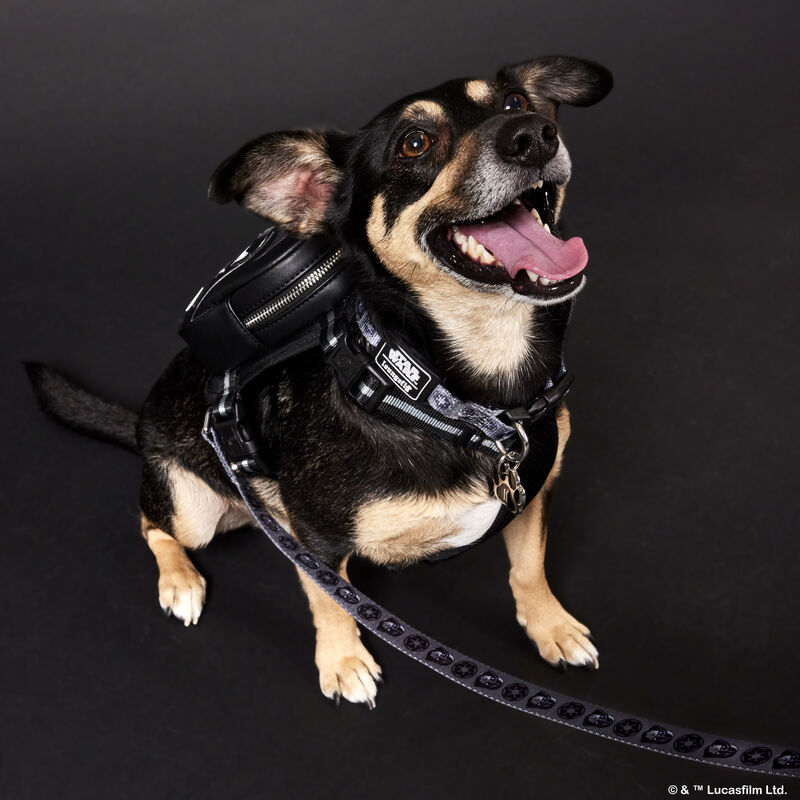 Image of a dog against a black background wearing the Darth Vader Mini Backpack Harness
